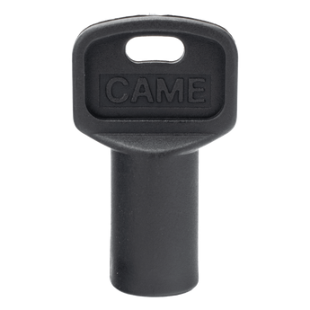 Acceso vehicular CAME 119-RIY-077-U