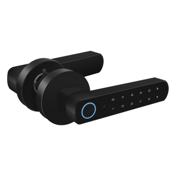 Cerraduras AccessPRO ACCESS100-BT