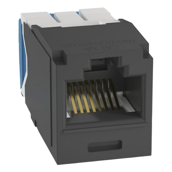 Jacks y conectores Panduit CJ6X88TGBL