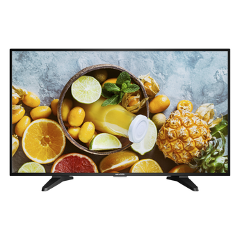 Monitores Hikvision DS-D5043QE
