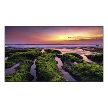 Monitores Samsung QB55C
