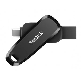 Memoria usb SanDisk SDDDC6-256G-G46 negro