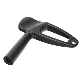 Acceso vehicular AccessPRO XBS-CAN-KEY