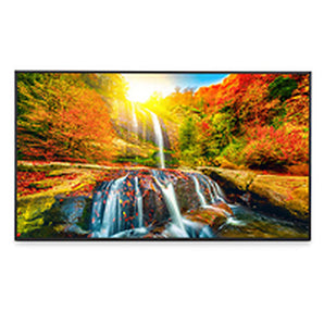 Monitor Sharp PN-ME552 55" 4K